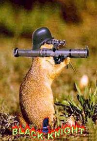 la guerre insolite
